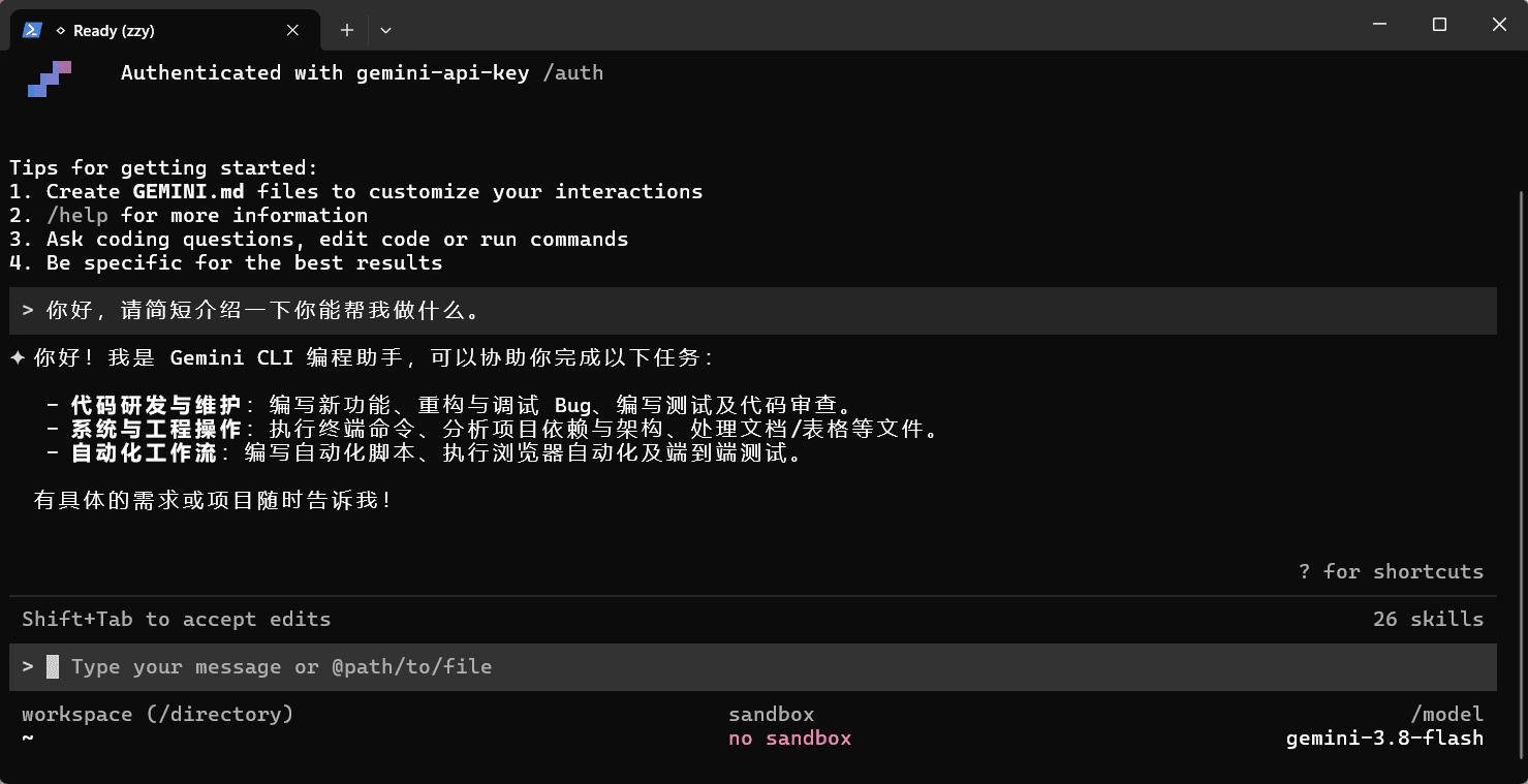 Gemini CLI 主界面:已用 gemini-api-key 接入